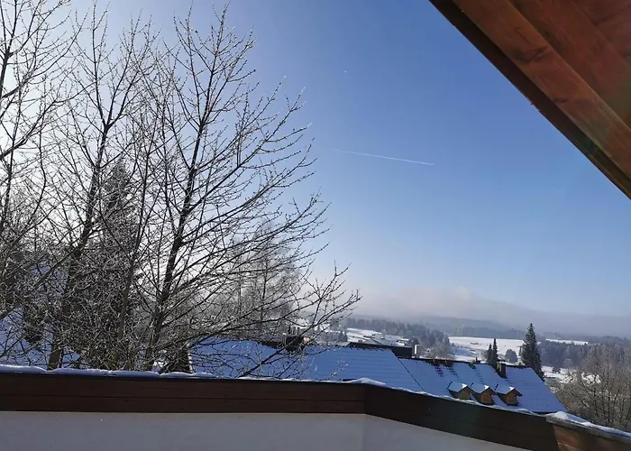 Ferienhaus-haidweg-wohnung-5 דירה Haidmühle